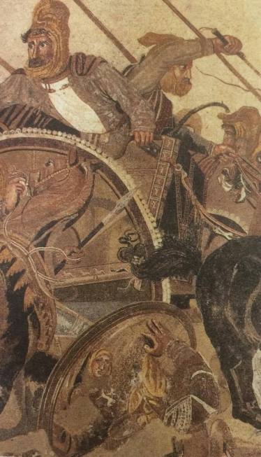 15051922_1123097721101974_749890750_o