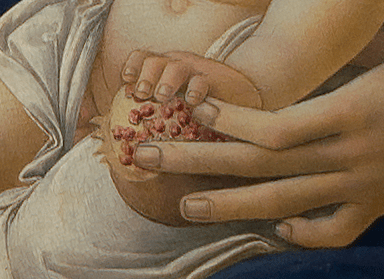 madonna_of_the_magnificat-2-copia-copia-2