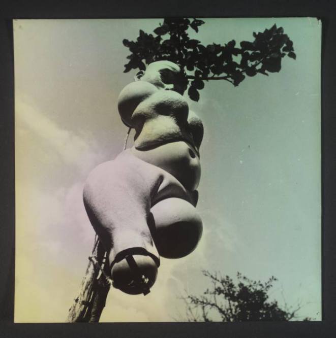 15909928_1049301965178723_972465257_n