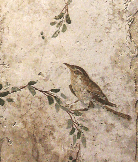 afresco pompeia museu nacional 2