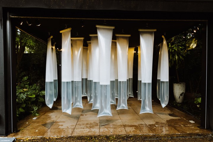 Obra de Mercedes Lachmann